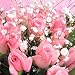�s���N�̃o���̑��蕨���v���e�B�y���ԁz�o��20�{�ƃJ�X�~�����b�s���O�t