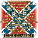 Dixie Classics Womens Scoop Neck T-Shirt