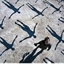 Absolution ~ Muse