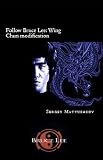 Follow Bruce Lee: Wing Chun modification