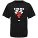 Chicago Bulls Adidas Black Primary Logo Short Sleeve T-ShirtLarge