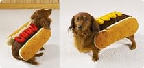 Casual Canine Hot Diggity Dog Costume Md Ketchup
