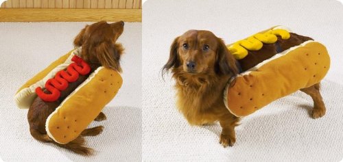 Childrens Toyshop  Pet Supplies : Dog Costume - Hot Diggity Dog Halloween Costume (Hot Dog w/Mustard) - Medium