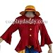 One Piece Monkey D Luffy 2 years later Cosplay Cosplay Japanese Anime Cosplay Custume Made Customize