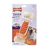 Nylabone Proaction Dog Dental Chew, Large