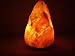 Kitchen & Housewares : Himalayan Crystal Rock Salt Lamp 6-8 Pounds