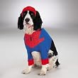 Spiderman Costume Dog Costume Pet Halloween Costume