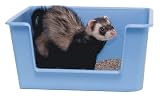 Pet Supplies : High Back Litter Pan