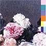 Power,Corruption & Lies