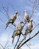 Sporting Goods : Expedite Intnl. Clip On Dove 4-Pack