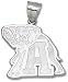 Chicago Bulls Logo Giant 10K Charm/Pendant