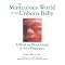 My Favourite Pregnancy Books