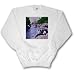 Vintage 1899 Wisconsin Dells Narrows - Adult SweatShirt XL
