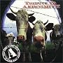 Aerosmith Tribute: Not The Same Old Song & Dance