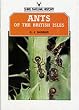 Ants of the British Isles (Shire natural history)