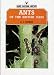 Ants of the British Isles (Shire natural history)