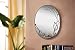 Bird & Branch Wall Mirror