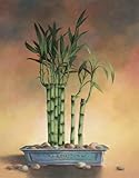 Bamboo II MUSEUM WRAP CANVAS Print With Added Heavy BRUSHSTROKES T.C. Chiu 22x28 Bamboo II MUSEUM WRAP CANVAS Print With Added Heavy BRUSHSTROKES T.C. Chiu 22x28
