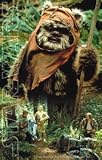 Ewok Sticker ~ Rare and Unique Star Wars Sticker