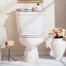 American Standard Cadet/Ravenna Right Height 16-1/2-Inch Elongated Toilet Bowl
