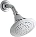 KOHLER 10282-AK-CP Forte 2.5 GPM Single-Function Wall-Mount Showerhead with Katalyst Spray, Polished Chrome