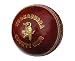 KOOKABURRA County Club Cricket Ball