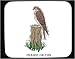 Mouse Pad with falcon, prey, stump, prairie, bird