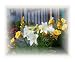 Lily Fantasy Botanical Photographic Poster Print by Dot Beverage, 10x8