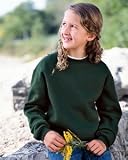 9.5 oz 50/50 Youth Crew Neck Sweatshirt by Jerzees (Style# 4662B)