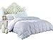 Royal Hotel Bedding King Size Light Down-Comforter 650-Fill-Power 100% Cotton Shell 300TC - Stripe White