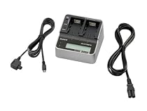 Sony ACVQH10 AC Adaptor/Charger for H Series Batteries