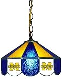 NCAA Michigan Wolverines 14 Tiffany Style Hanging Lamp