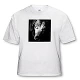 Black Dachshund Portrait - Toddler T-Shirt (3T)