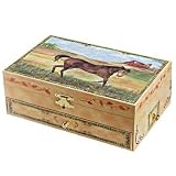 Stallion Stable Music