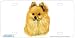 - Pomeranian - Art Print - License Plate Decorative Tag By Robert J. May From Airstrike