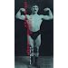 A fleur de peau : M�decins, tatouages et tatou�s (1880-1910)