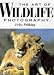 The Art of Wildlife Photography