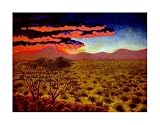 African Sunset Art Giclee Poster Print by John Newcomb, 26x21