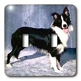 Dogs Border Collie - Border Collie - Light Switch Covers - double toggle switch