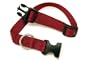 Adjustable Nylon Pet Collar - Medium, Green