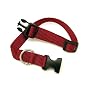 Adjustable Nylon Pet Collar - Medium, Purple