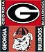 Georgia Premium 3' x 5' Two Sided Flag