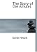 The Story of the Amulet (Large Print Edition)