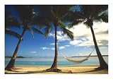Palms and Hammock, Aitutaki, Cook Islands, Palm Trees Photographic Poster Print by Walter Bibikow, 40x30