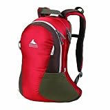 Gregory Tallac 18 Daypack, Cinnabar