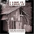 I Like It I Love It: The Bluegrass Tribute to Tim McGraw