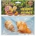 Pet Supplies : T-REX HERMIT CRAB SHELL LARGE 2 PACK