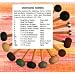 Mike Balter MB10AB Mallets Birch Extra Hard