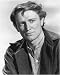 Richard Harris - Movie Poster / Print -- Custom Framing Available