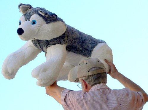 34' BIG STUFFED HUSKY DOG - LARGE JUMBO CUDDLY SOFT PLUSH FUN